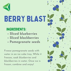 Berry blast recipe pictured with blueberries.