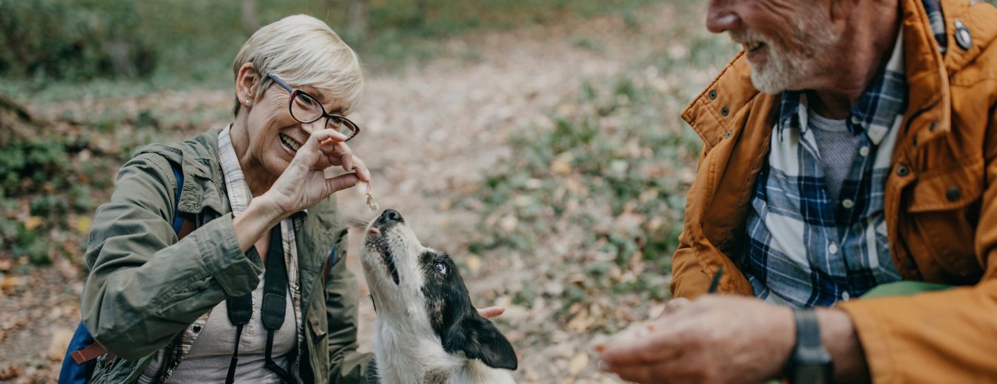 Mature woman feeds dog a piece of her lunch on a hike.